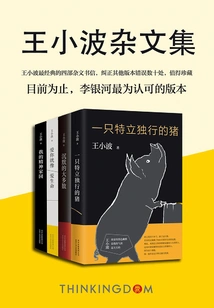 Wang Xiaobo's Essays