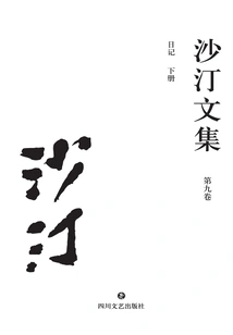 Collected Works of Satine (volume 9): Diary (volume 2)