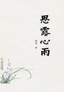 Silly Heart Rain (complete Works)