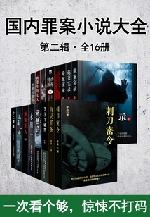 Complete Collection of Domestic Crime Novels·second Series (16 Volumes in Total)