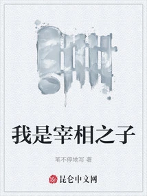 I Am the Prime Minister's Son