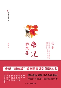 Lu Xun's Prose Collection