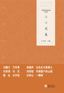 Selected Works of Chinese Literature: Short Novels (2023)
