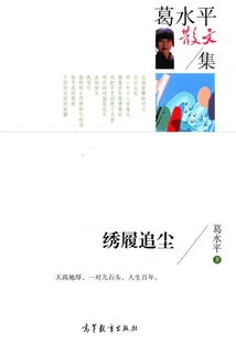 Embroidered Shoes Chasing Dust