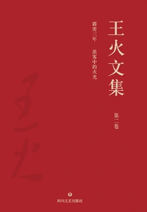 Collected Works of Wang Huo·volume 2: Three Years of Thunderbolt: Fire in the Dense Fog