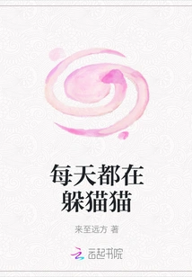 Playing Hide and Seek Every Day