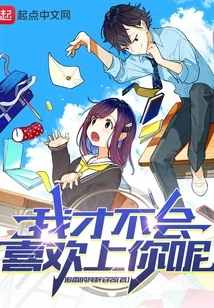 I Won't Fall in Love with You