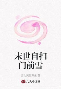 Cleaning up the Snow at the End of the World