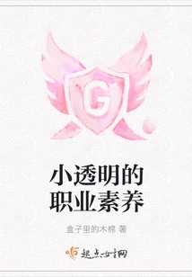 Little Transparent Professionalism