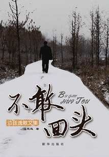 Don't Dare to Look Back: Collected Essays of Bian Tingyi