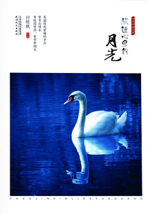 The Moonlight Shining into My Heart