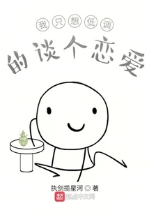 I Just Want to Have a Low-key Relationship