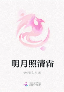 The Bright Moon Illuminates the Clear Frost