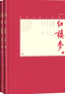 A Dream of Red Mansions (3 Volumes in Total)