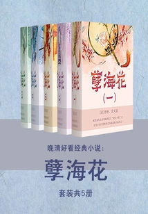 A Good Classic Novel of the Late Qing Dynasty: Flowers of Evil (set of 5 Volumes in Total)