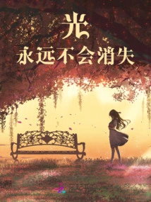 Light Never Disappears