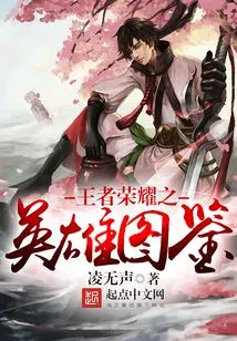 King of Glory Heroes Illustrated Book