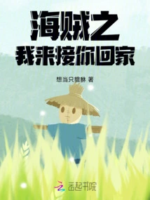 Pirates: I'll Take You Home