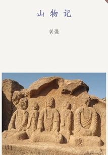 Records of Mountain Things (thousands of Douban High-scoring Original Works·in a Foreign Land)