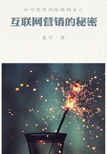 The Secret of Internet Marketing (thousands of Douban High-scoring Original Works·look at the Industry)