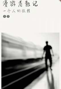 Wanderer's Notes (thousands of Douban High-scoring Original Works·in a Foreign Land)