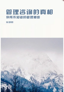 The Truth About Management Consulting (thousands of Douban High-scoring Original Works·look at the Industry)