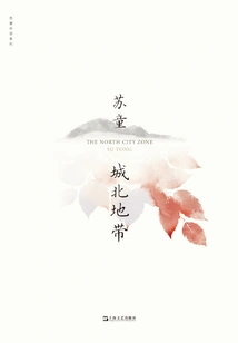 North Area of ​​the City