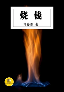 Burning Money (a Good Chinese Novel)