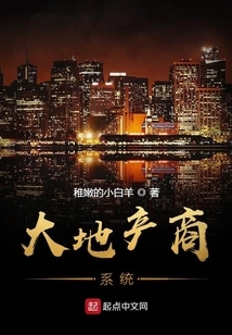 Big Real Estate Developer System