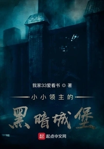 Little Lord's Dark Castle