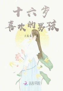 The Boy I Like When I'm Sixteen