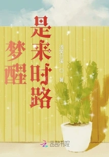 It's Time to Wake up from the Dream