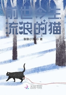 Stray Cats in Past and Present Lives