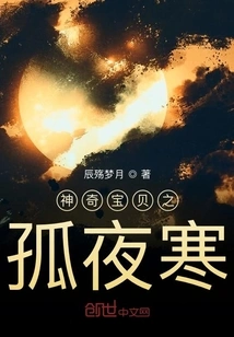 Pokémon: Lonely Night Cold