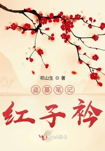 Tomb Robbery Notes: Hong Zijin