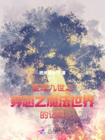 Charles Ix: Time Travel and Memories of the Magical World