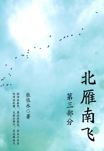 Wild Geese Flying to the South·part 3 (zhang Henshui's Classic Novel)