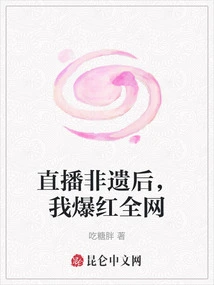 After the Live Broadcast of Intangible Cultural Heritage, I Became Famous All over the Internet