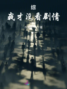 Summary: I Didn't Watch the Plot