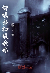 I Regret Misunderstanding You at First