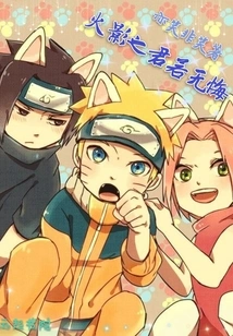 If the King of Hokage Has No Regrets