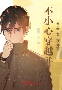 The Incident of Accidentally Traveling Through Time and Falling in Love with the Heroine