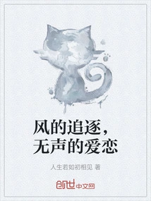 The Pursuit of the Wind, the Silent Love