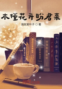 The Hibiscus Flowers Are Blooming and I Look Forward to Your Arrival