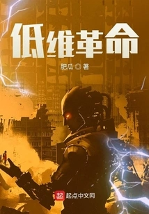 Low Dimensional Revolution