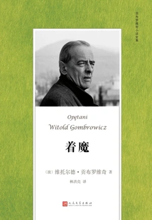 Possessed (complete Novels by Gombrowicz)