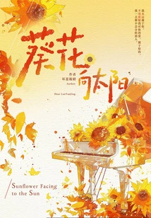 Sunflower to the Sun