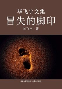 Collected Works of Bi Feiyu: Reckless Footprints