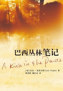 Brazilian Jungle Notes