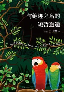 A Brief Encounter with an Extinct Bird